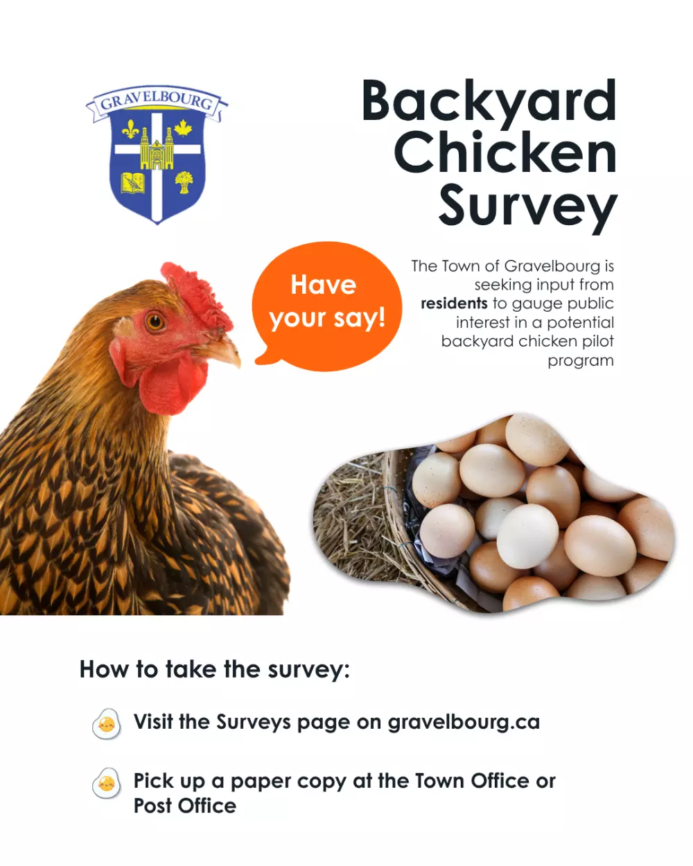Backyard Chicken Survey