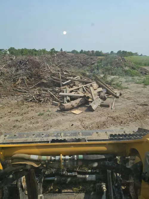 🪵 Wood Disposal 101 🪵